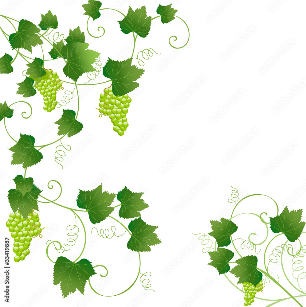 Fototapeta premium Frame with grapes