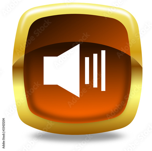 Volume button