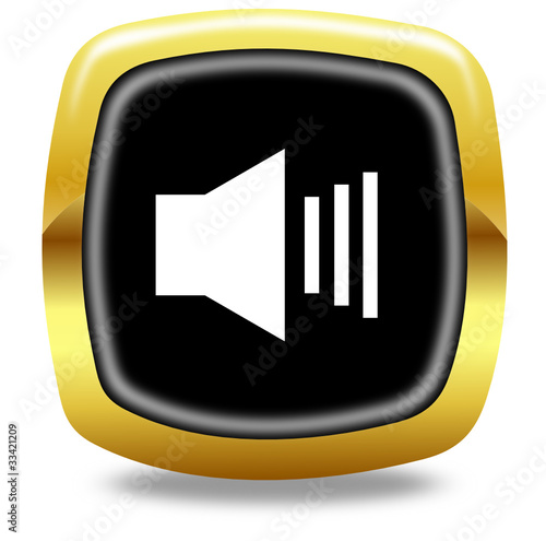 Volume button