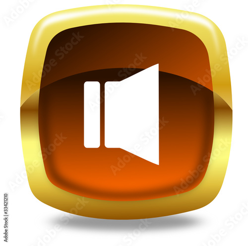 Speaker button