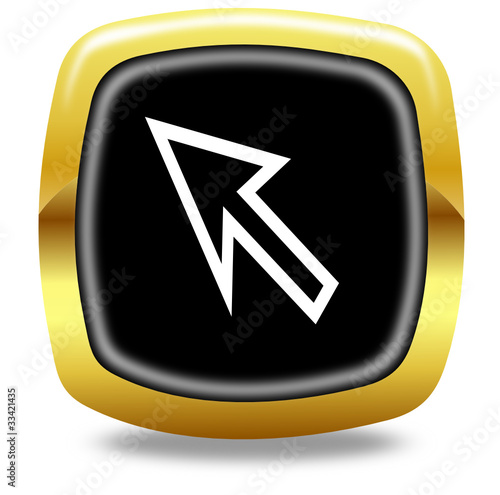 Cursor button