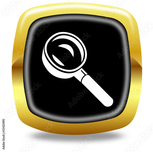 Search button