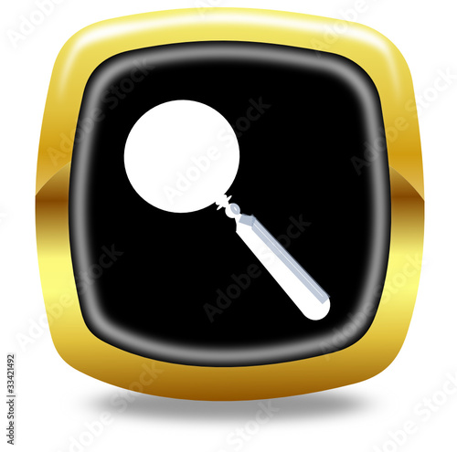 Search button