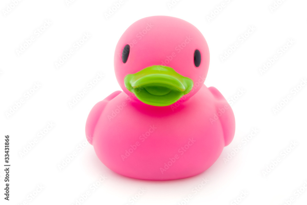 Single pink rubber duck on white Single pink rubber duck on white