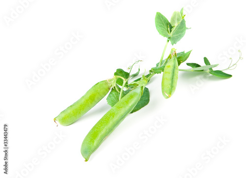 green pea on a white background