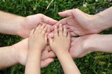 Children's hands in hands of adults