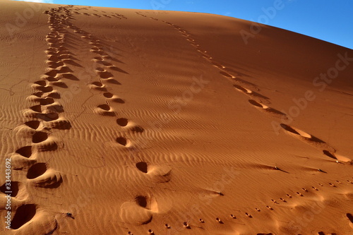 prints on sand dune Namibia