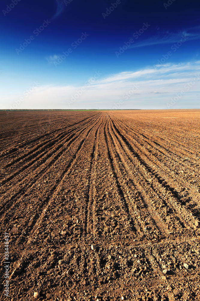 Ploughed field under blue sky