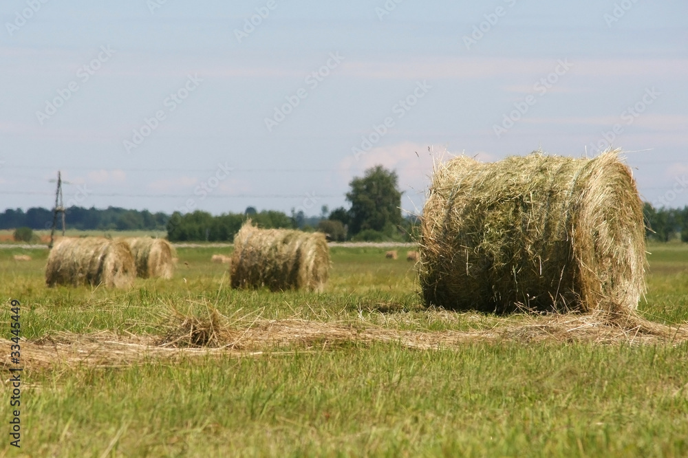 Bales of hay in a wide field