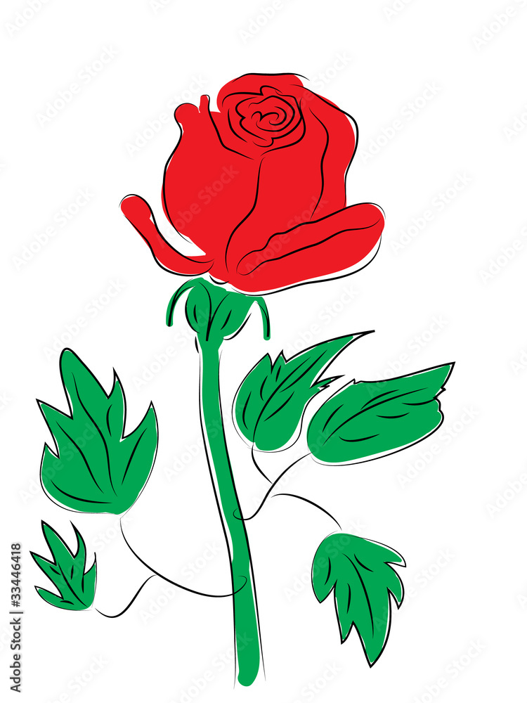 Rose Rose