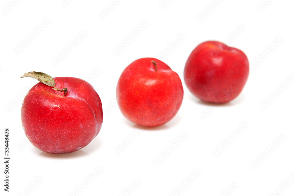 Three fresh plums over white background