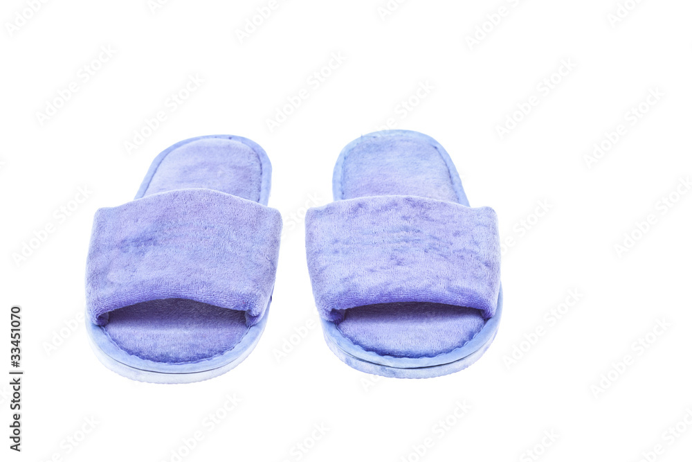 slippers isolated on the white background slippers isolated on the white background