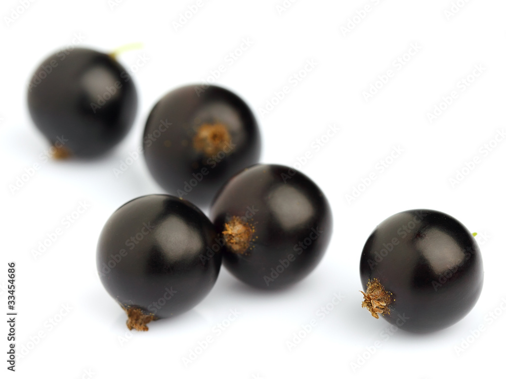 Ripe berry of currant Ripe berry of currant