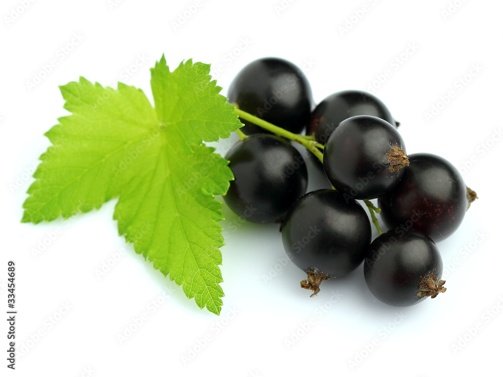 Ripe blackcurrant Ripe blackcurrant
