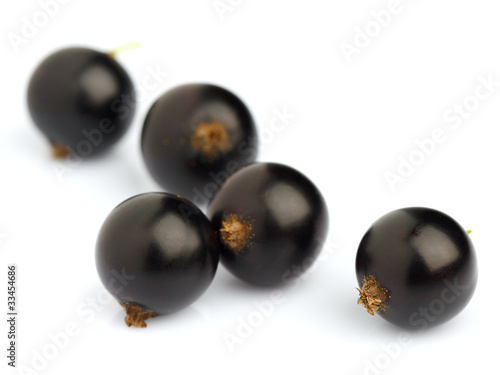 Ripe berry of currant
