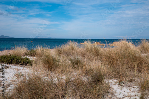 Sardinia, Italy: Capo Comino bay with sand dunes