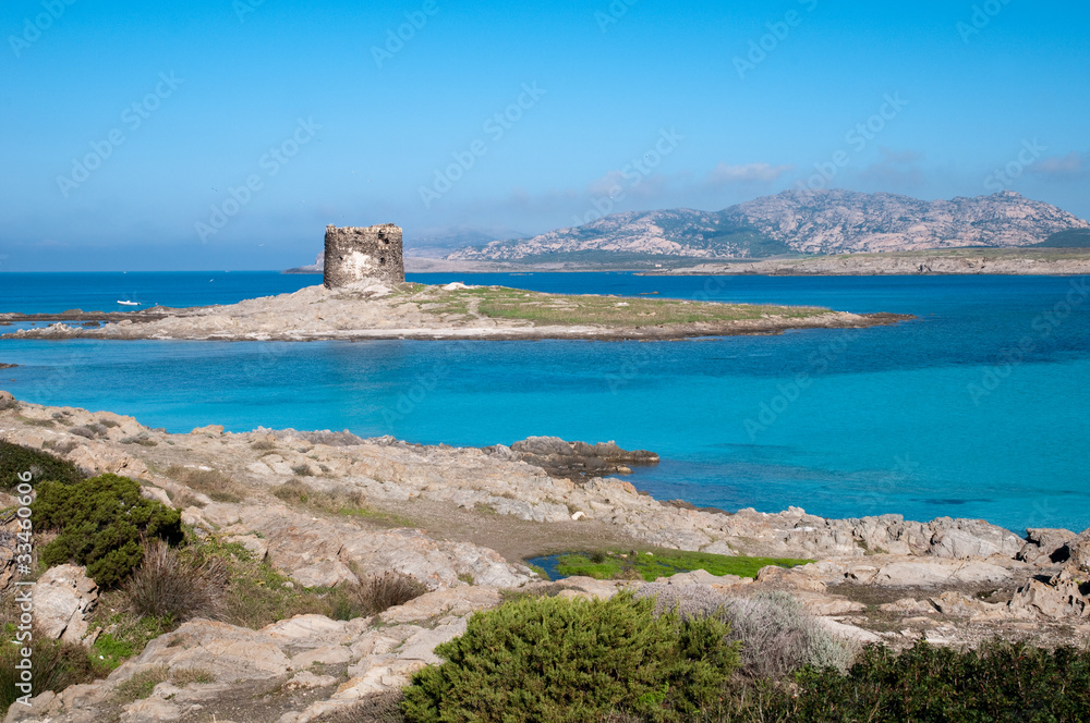 Sardinia, Italy: Capo Falcone and the spanish tower in Stintino