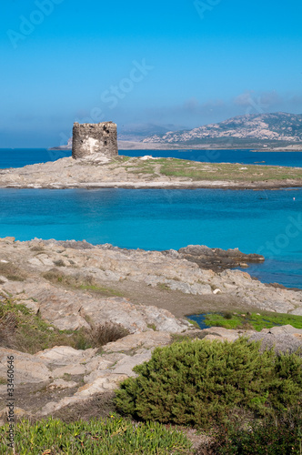 Sardinia, Italy: Capo Falcone and the spanish tower in Stintino