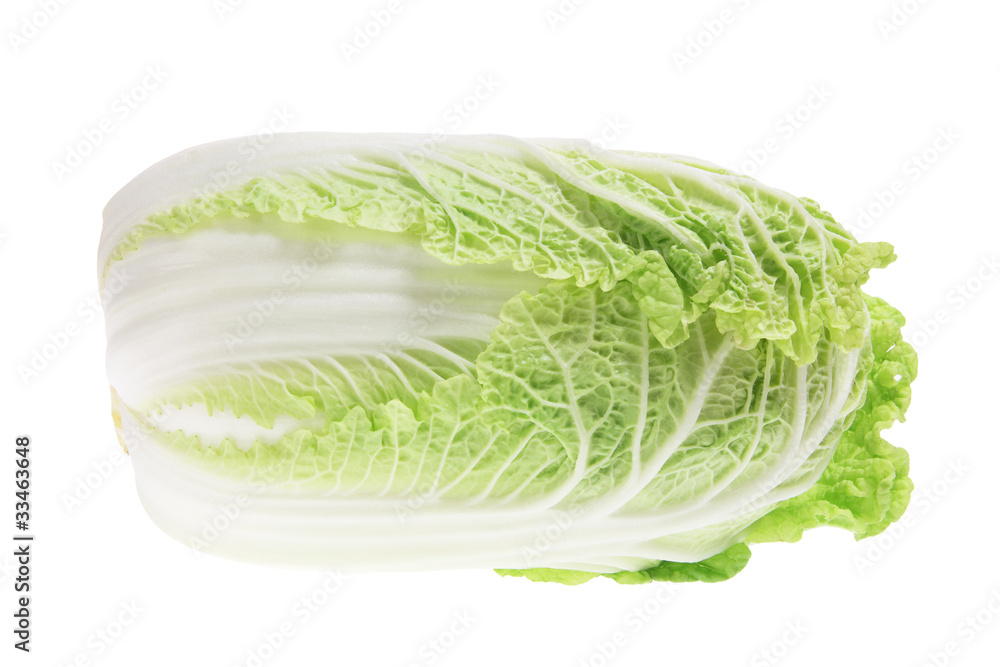 Chinese Cabbage Chinese Cabbage
