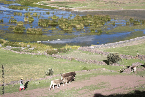 Chullpas inkas de sillustani,Peru © laurent33