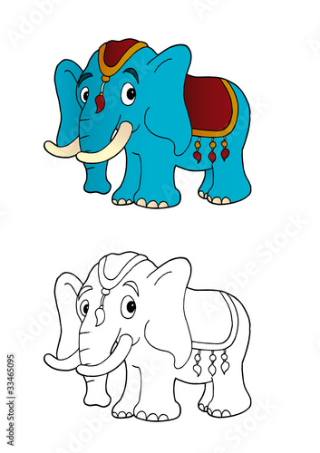 Elephant de cirque
