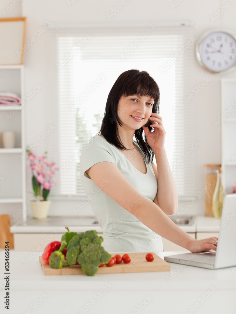 Cute brunette woman on the phone while relaxing with her laptop