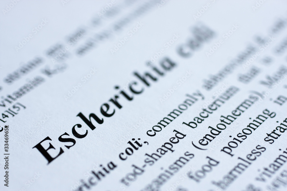 Escherichia coli Escherichia coli