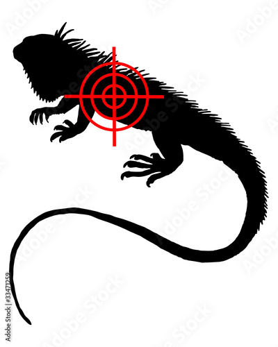 Leguan Fadenkreuz