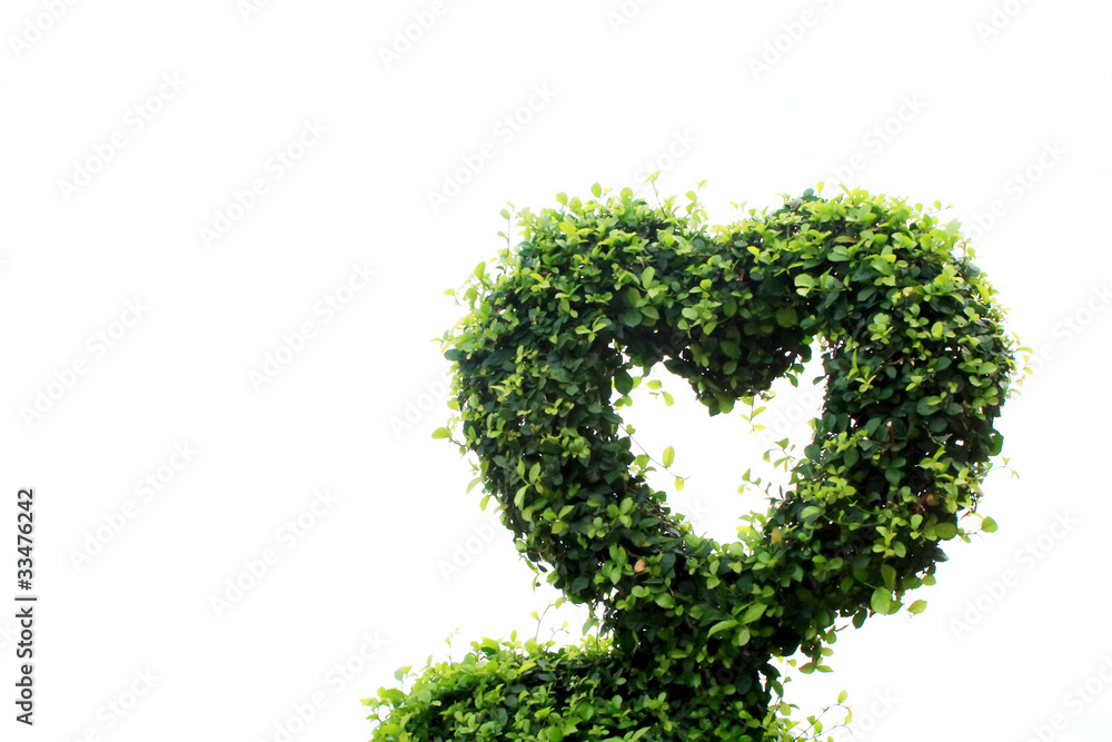 Trees bending to form a heart Trees bending to form a heart
