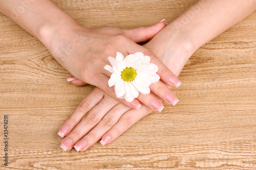 women's hands and chamomile flower on wooden background