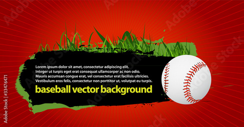 baseball banner vector