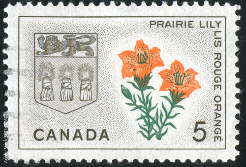 Fototapeta Naklejka Na Ścianę i Meble -  postage stamp