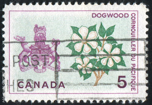 Fototapeta Naklejka Na Ścianę i Meble -  postage stamp