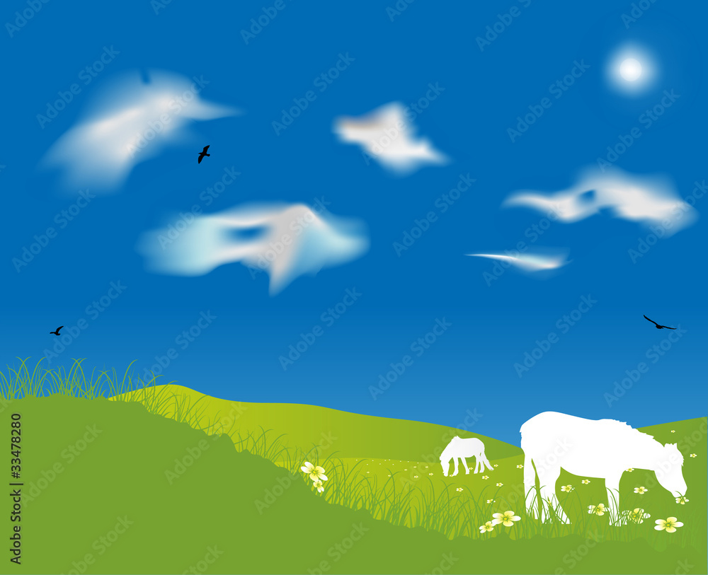 Fototapeta premium landscape with meadow and horses