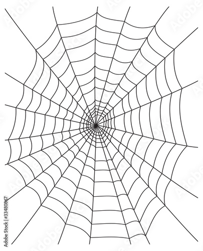 spider web