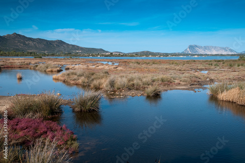 Sardinia, Italy: Pond of San Teodoro.