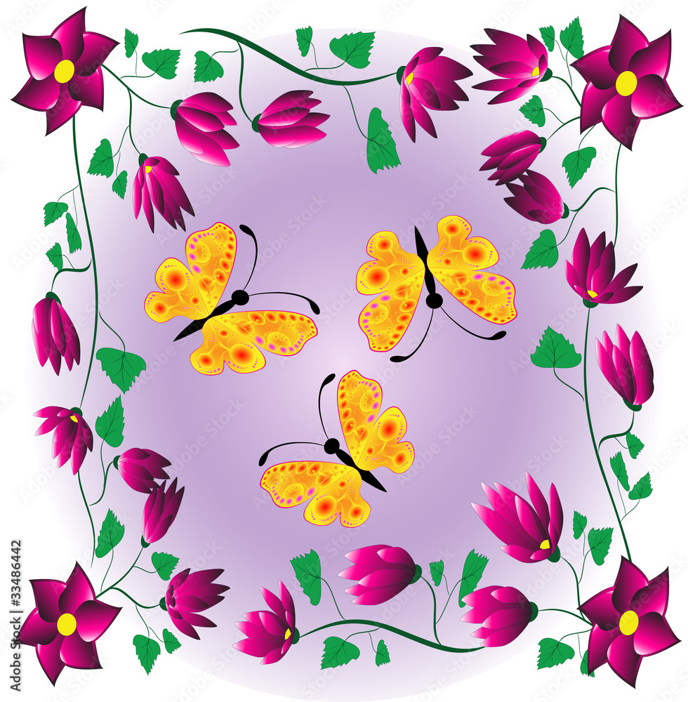 butterfly on flower butterfly on flower