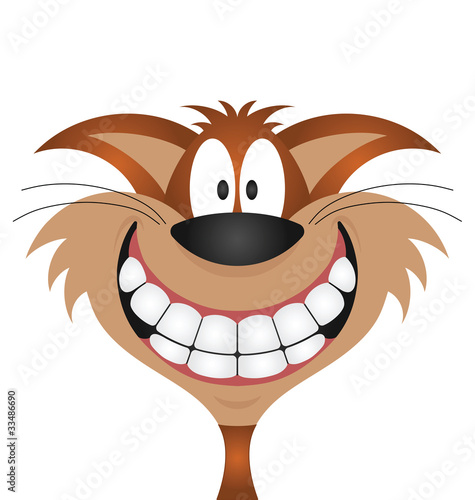 Happy smiling tabby cat isolated on white background