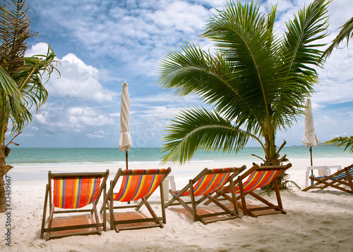 lounge chairs at a coastline © tarasov_vl