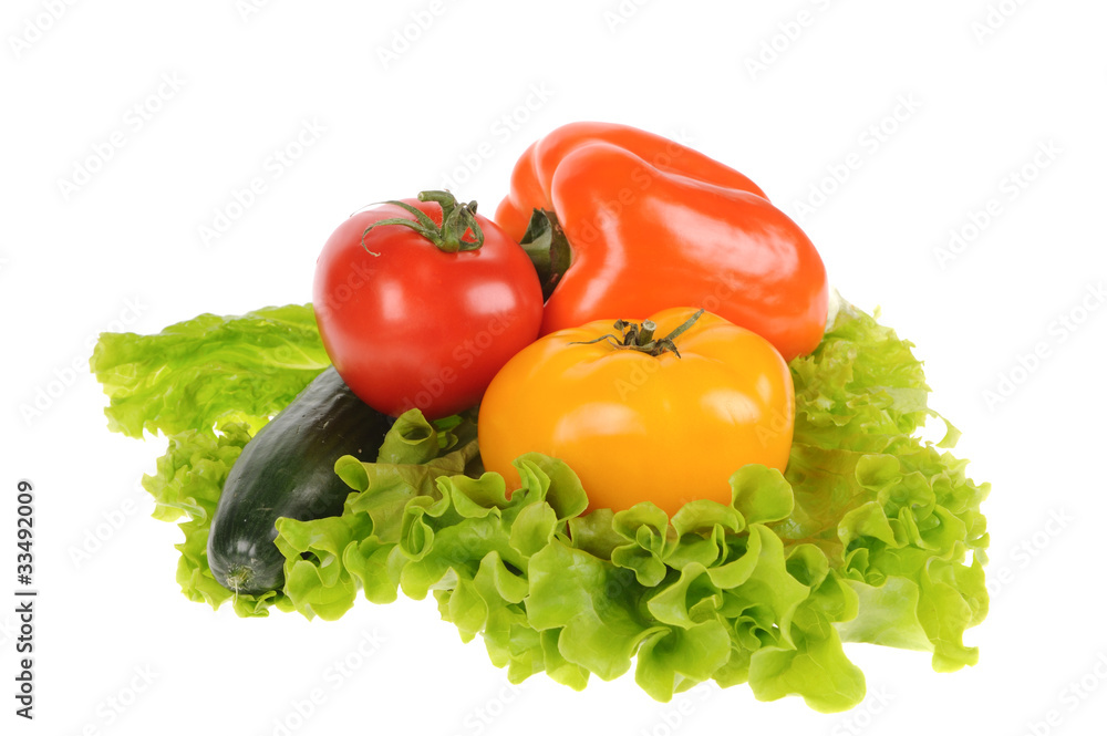 green salad and tomato isolated on the white background green salad and tomato isolated on the white background