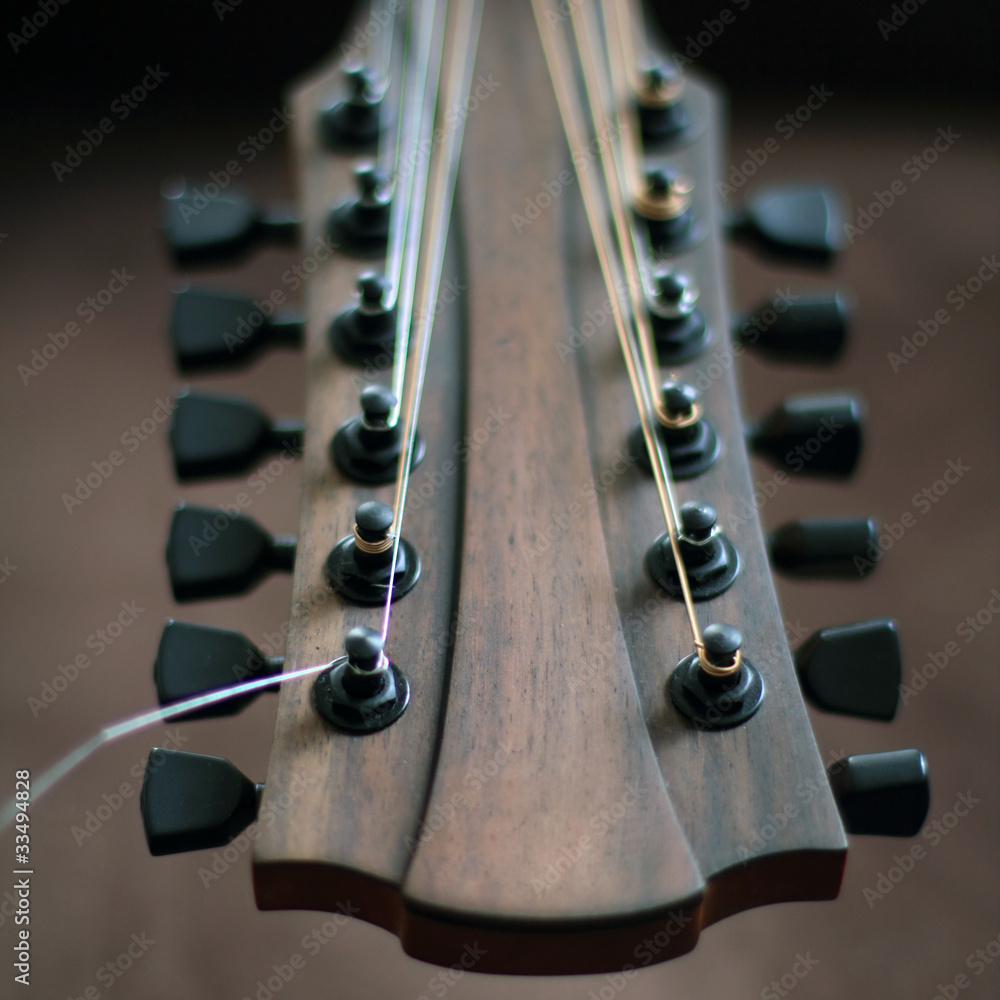 Naklejka premium Gitarre