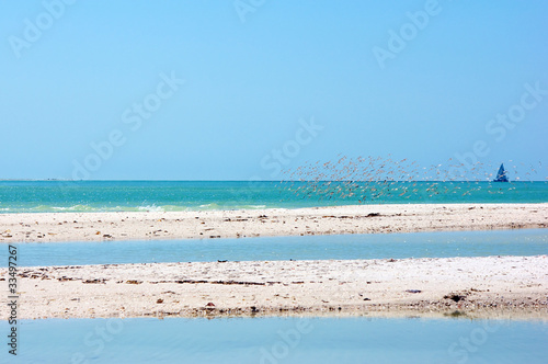sandbars in gulf of mexico