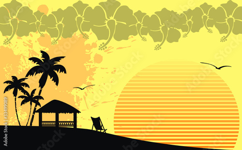 hawaiian tropical beach background8