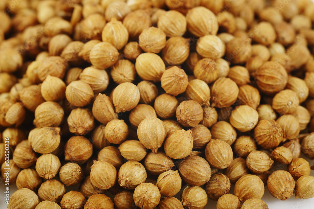 coriander seeds coriander seeds