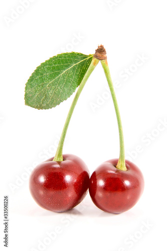 Two cherry fruits with leaf.