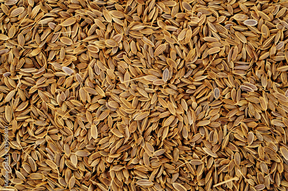 dill seeds background dill seeds background