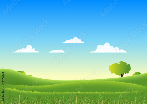 Spring And Summer Country Landscape