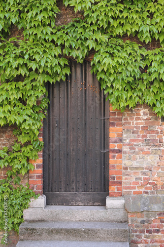 Old wooden door with ivy © Tombaky