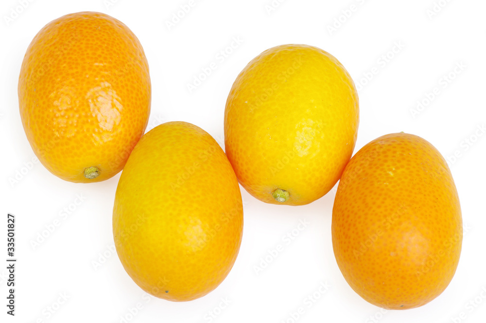 Group kumquat isolated on the white background Group kumquat isolated on the white background