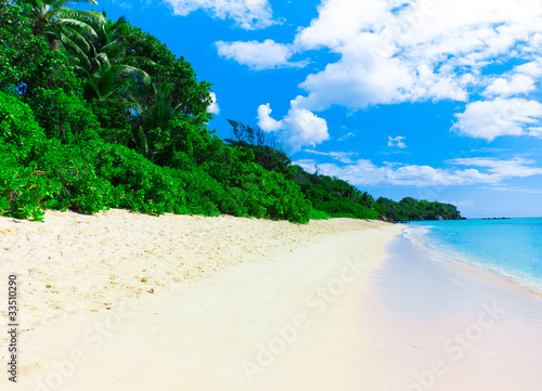 Shore Jungle Panorama © alma_sacra